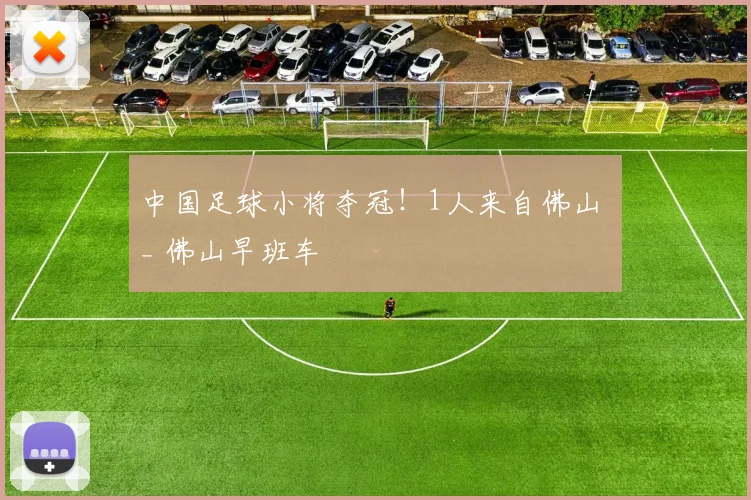中国足球小将夺冠！1人来自佛山 _ 佛山早班车
